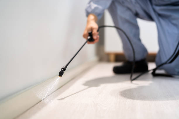 Licensed Mosquito Control service in Aledo, IL - Show Me Pest Control
