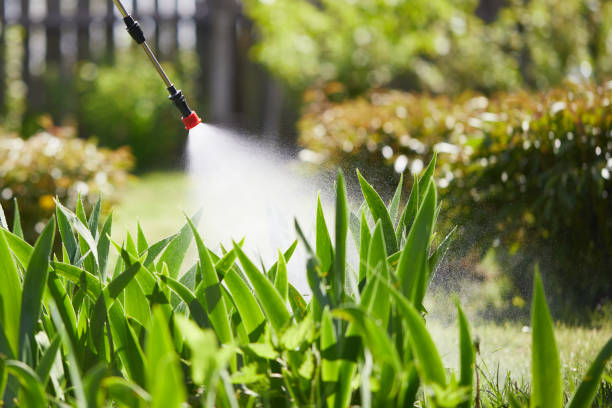 24/7 Emergency Mosquito Control experts in Aledo, IL